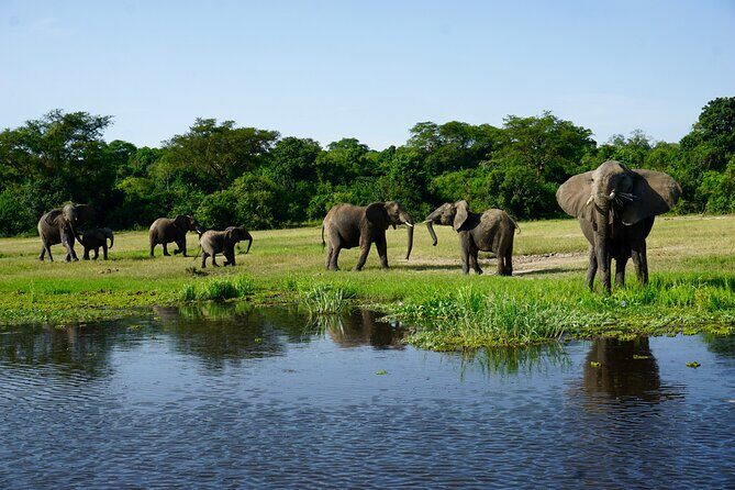 3 Days Murchison Falls Adventure Wildlife Safari Uganda Tour - Transport and Group Size