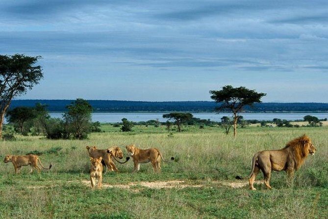 3 Days Murchison Falls - Budget - The Experience and Atmosphere