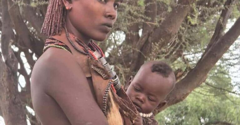 3 Days Omo Valley Tour - Transportation and Logistics