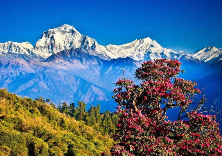 3 Days Pokhara Tour from Kathmandu - The Sum Up