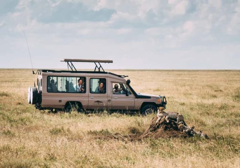 3 Days Private Midrange Safari from Nairobi - What Makes This Safari Stand Out?