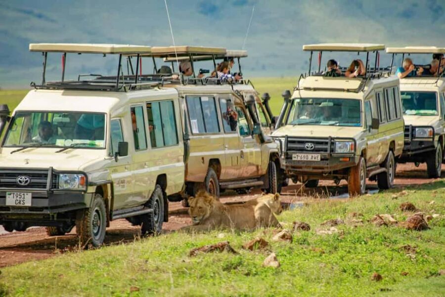 3 Days Private Midrange Safari from Zanzibar with Flights - The Adventure Starts from Zanzibar