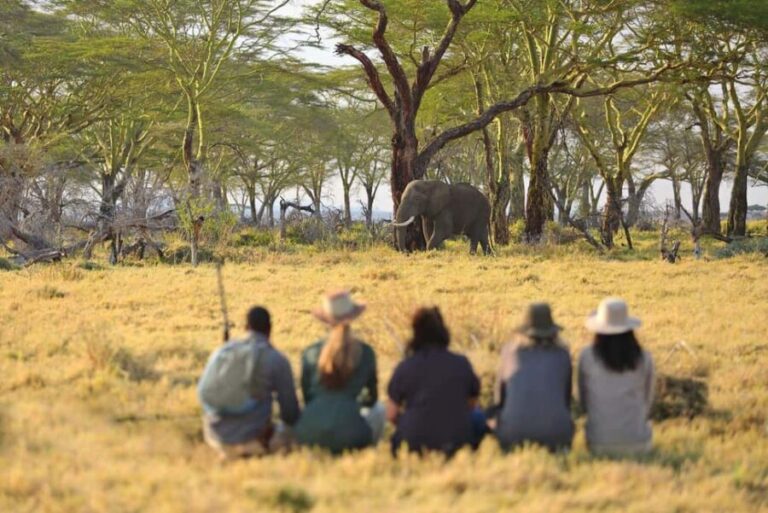 3 Days Private Safari To Tarangire and Ngorongoro Crater - The Practicalities: What You Should Know