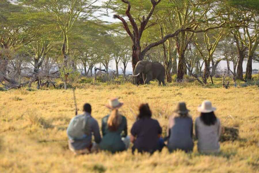 3 Days Private Safari To Tarangire and Ngorongoro Crater - The Practicalities: What You Should Know