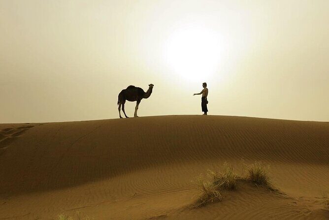 3-Days Private Sahara Desert Trek - Important Details for Planning