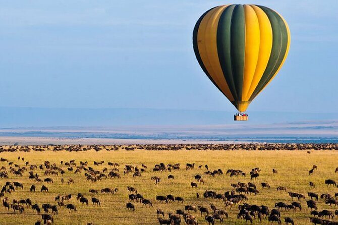 3 Days Private Tour in Maasai Mara With 4*4 Vehicle - What Makes This Tour Stand Out?