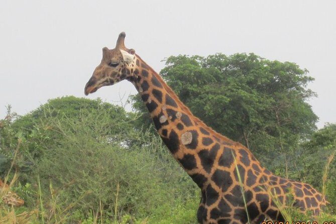 3 Days Queen Elizabeth national Park Safari Holiday - What Sets This Tour Apart