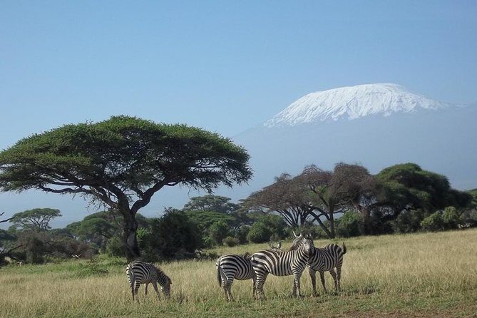 3 days Red elephant safari - Practical Details and Tips