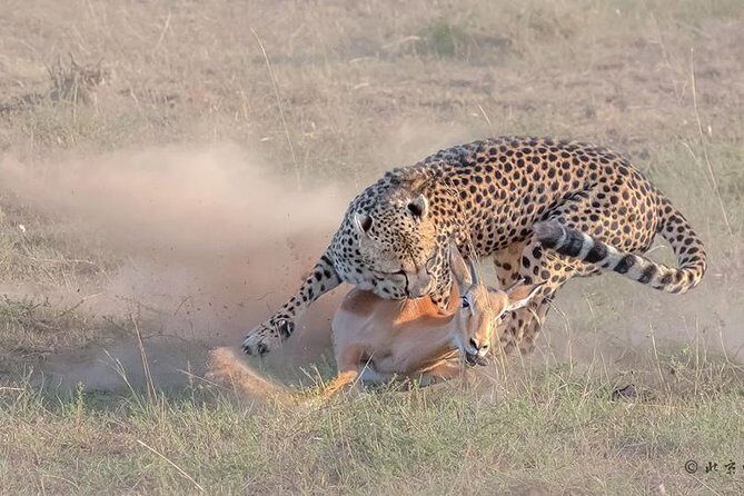 3 Days Safari in Amboseli National Park - Detailed Review of the 3-Day Amboseli Safari