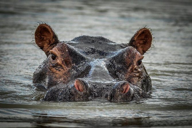 3 Days Safari - Selous Game Reserve - The Practicalities and What They Mean for You