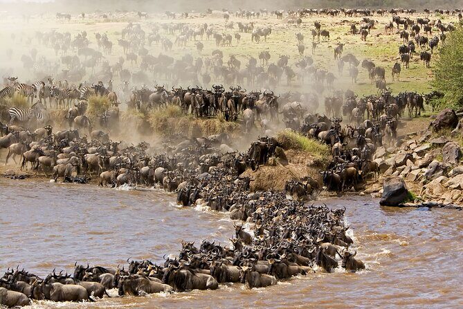 3 days Safari to Tarangire, Ngorongoro and Manyara from Zanzibar - Who Will Love This Safari?