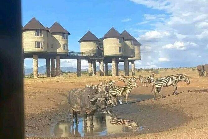 3 Days Safari Tsavo East and Taita Hills Saltlick Lodge - What’s Included and What You Should Budget for