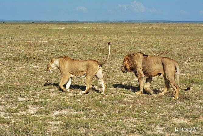 3 days safari Tsavo East and Taita hills (Saltlick lodge) - What’s Included and What’s Not