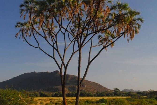 3 Days Samburu National Reserve Private Safari from Nairobi - The Itinerary in Detail