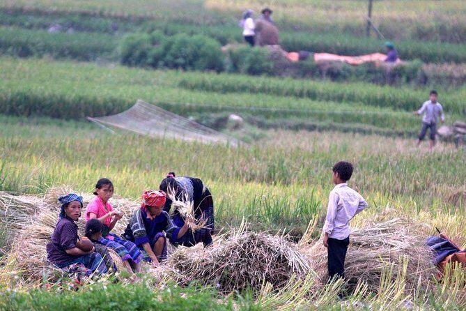 3 Days SAPA Real Experience at Local People House - Why This Tour Works for You