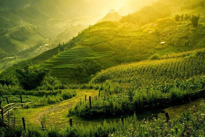 3 Days Sapa Tour with Night Train from Hanoi - Day Two: Arrival and Trekking in Sapa’s Scenic Valleys