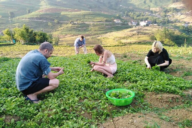 3-Days Sapa Trekking With Local Guide Overnight in Tavan Village - Who Should Consider This Tour?