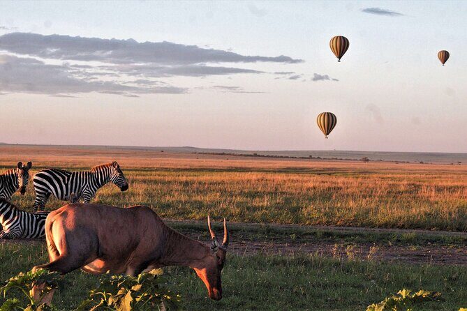 3 Days Serengeti and Ngorongoro Crater Safari from Mwanza to Arusha - Why the Price Reflects Good Value