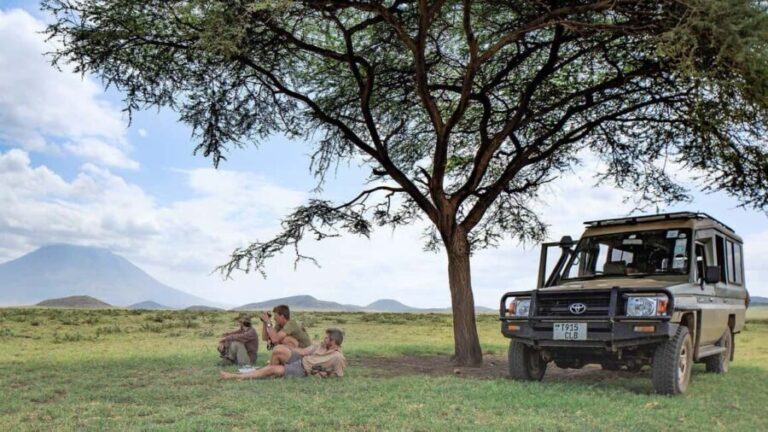 3-Days Serengeti National Park from Zanzibar with Flights - A Close Look at the Itinerary