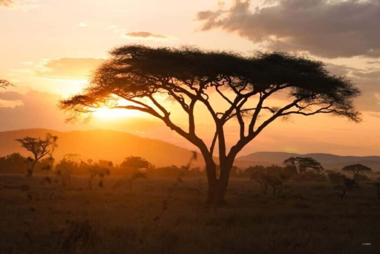 3 Days Serengeti & Ngorongoro Group Camping Safari - What Makes This Safari Stand Out?