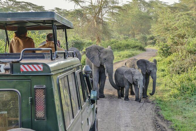 3 Days Serengeti Park & Ngorongoro Crater Adventure Safari - The Practicalities: Transportation and Timing
