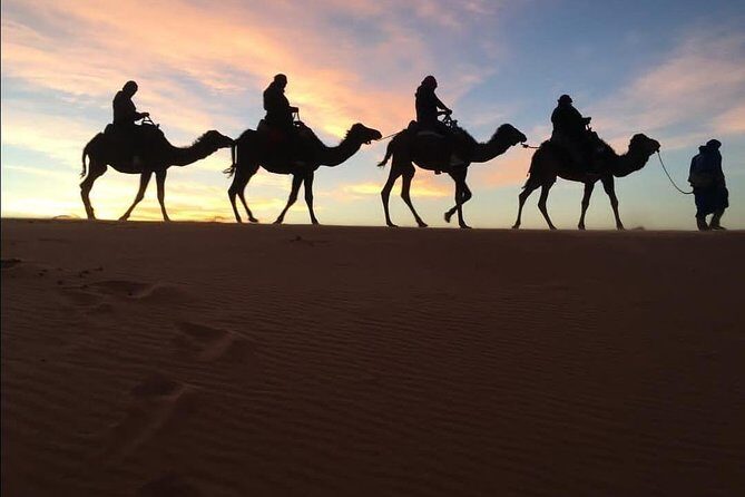 3 Days Shared Sahara Desert Tour From Marrakech - Who Is This Tour Best For?