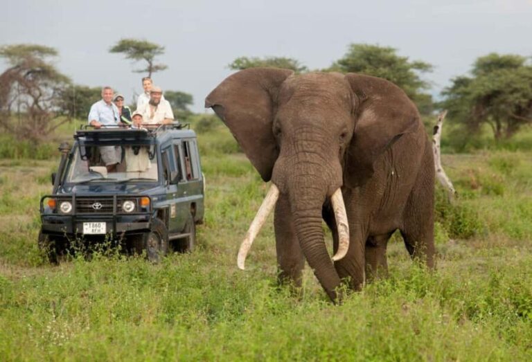 3 Days - Tarangire and Ngorongoro Crater - Exploring the Itinerary in Detail