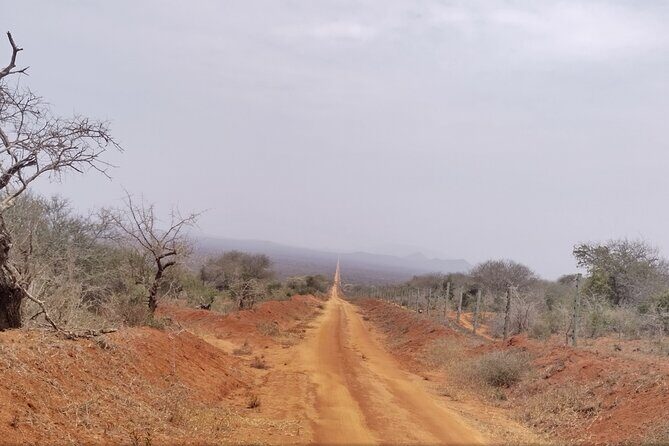 3 Days Tsavo East + Taita hills/Saltlick lodge from Malindi - What’s Included and How It Adds Up in Value