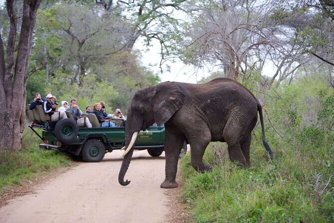 3-Days Ultra Luxury Safari at Kapama River Lodge - Highlights from Guest Reviews
