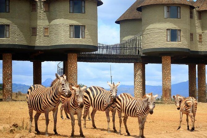 3 Days(2 nights) Tsavo East Tour & Saltlick (Cost based on minimum 2 persons) - What You Can Expect from the Itinerary