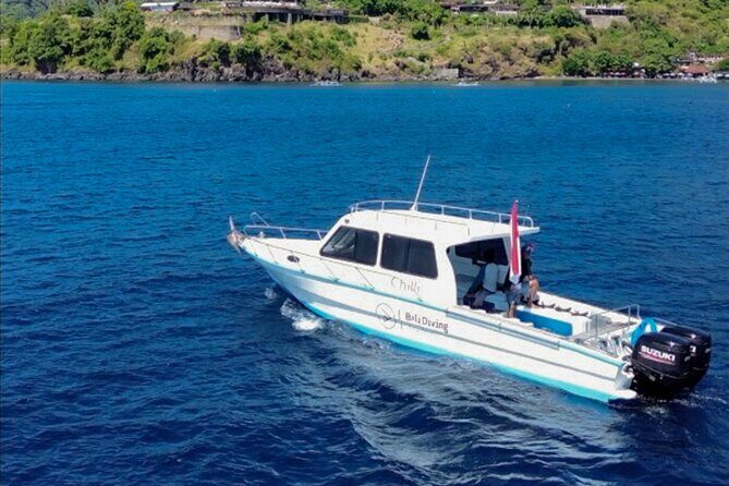3 Epic Dives in Nusa Penida - Certified Divers' Day Trip - The Value of the Trip