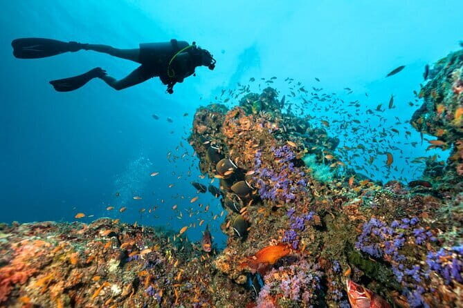 3 Fun dives in Phi Phi islands for Certified Divers - The Comfort and Logistics