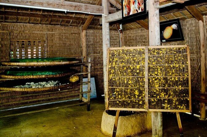 3-Hour Cultural Tour in Hoi An Silk Village with Local Meal - From Cocoon to Thread: The Weaving Process