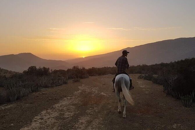 3-hour Horseback Ride Mountain and Beach Morocco - Frequently Asked Questions