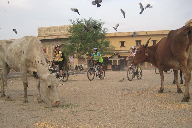 3-Hour Morning Bike Tour of Jaipur - Who Should Consider This Tour?