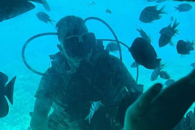 3 Hour Panorama by Semi Submarine Cruise w/ Transfer in Hurghada - What to Expect from the Panorama Semi-Submarine Experience