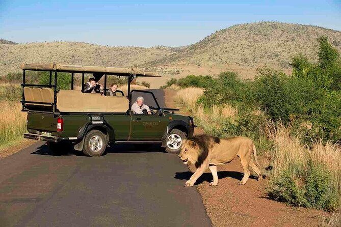 3-Hour Private Game Drive in Pilanesberg National Park - The Sum Up