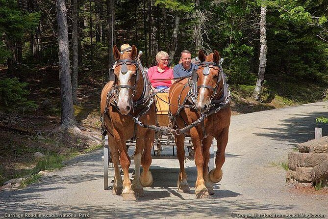 3-Hour Private Luxor Horse Carriage City Tour - Authenticity and Authentic Experiences