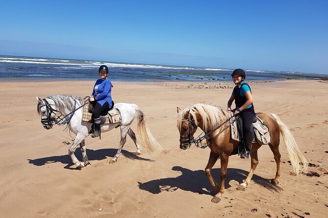 3-hour Private Ride between beach and dunes - The Authenticities and Practicalities