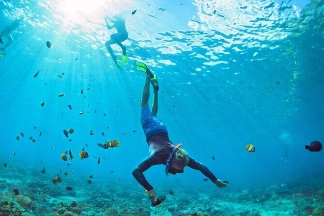 3 Hour Snorkeling and Dolphin Watching Experience in Muscat - Why Choose This Tour?