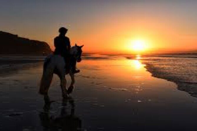 3-Hour Swim with Horses and Romantic Dinner from Hurghada hotels - Who Should Consider This Tour?