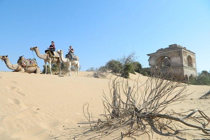 3 hours Camel Ride in Essaouira, beach and dunes - Final Thoughts