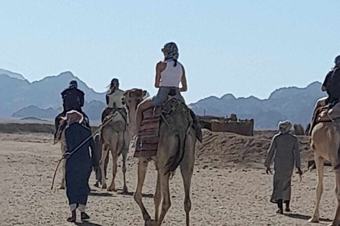 3 Hours Dessert Quad Safari Hurghada - What’s Included and What Costs Extra