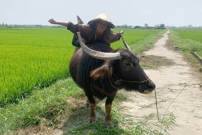 3 Hours Hoi An Countryside Bicycle Tour - What Travelers Say