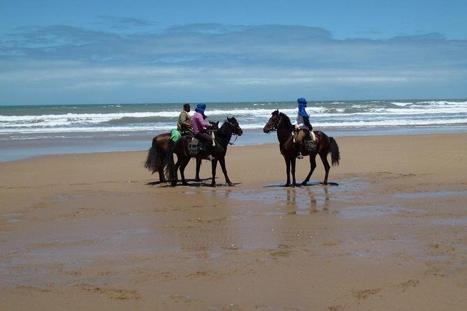 3 hours horse riding in Essaouira, beach, forest and dunes - What the Itinerary Looks Like