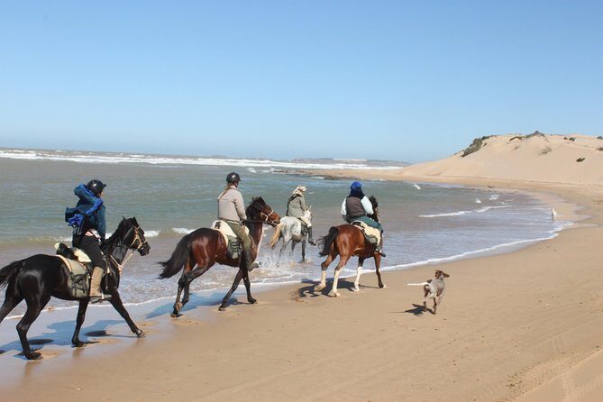 3 Hours Horse Riding with Dinner and Overnight Berber Camp - The Itinerary: What to Expect
