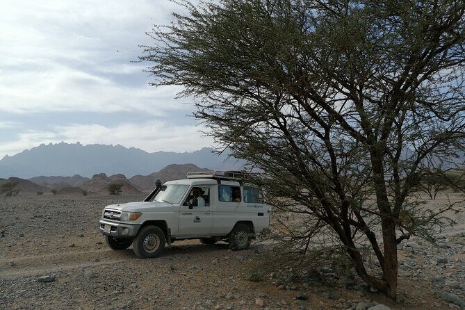 3 hours Mini Super Safari (Family Safari) - Practical Details That Matter