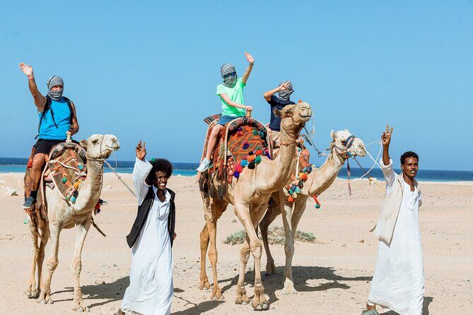 3 Hours Quad Bike with Camel Ride From Sharm El-Sheikh - What You Can Expect from This Quad Bike Tour