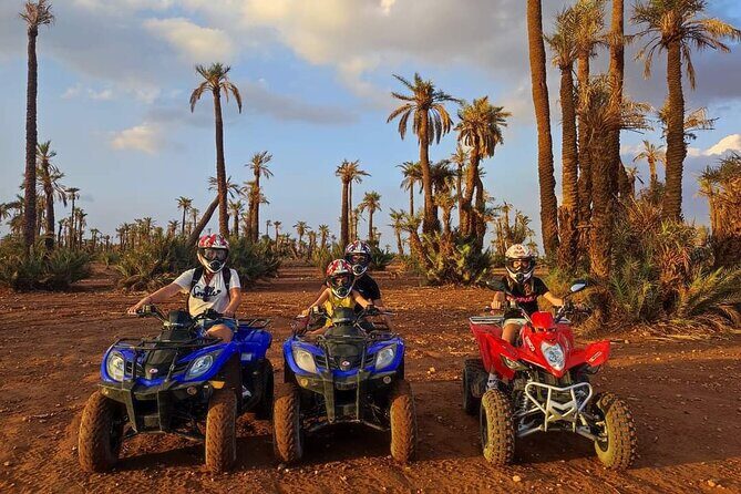 3 Hours Quad Excursion to the palm grove and Jbilat Desert - The Landscape and Views: Why They Matter