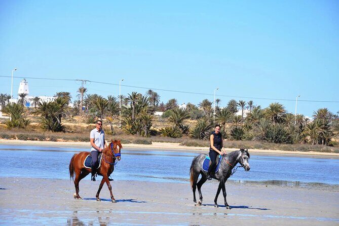 3 Hours Sunrise Horse Riding Beach and Desert from Marsa Alam - Authentic Experiences and Guest Impressions